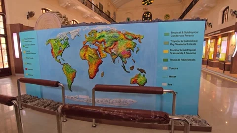 India Map with State Names and Borders – Educational Graphic Stock Footage 313562196