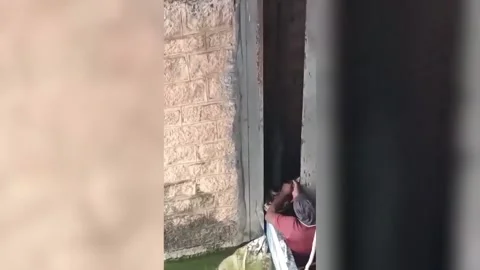 India: Massive python rescued from Himayat Sagar crest gate in India after d... 動画素材 288852321