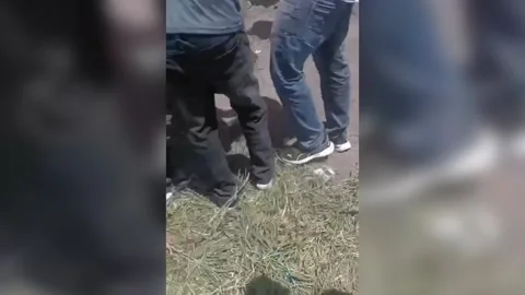 India: Massive python rescued in Sundernagar Stock Footage 284175116