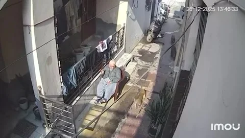 India: Monkey attack leaves elderly woman injured, sparks safety concerns... Video stock 325515696