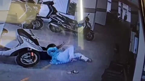 India: Monkey attacks create panic in western India’s neighbourhoods Video stock 280451498