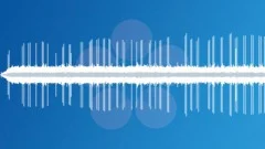 India night atmosphereSound Effect