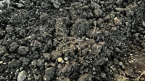 India Parched fields because of no rain Stock Photos