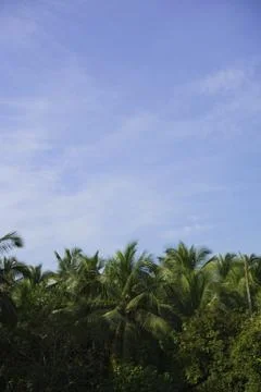 India Stock Photos