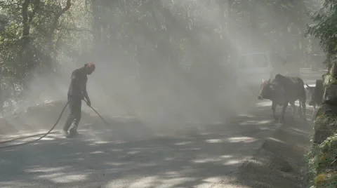 India pollution, workers cleaning dusty road, cows walk by Stockbeeldmateriaal 48779888