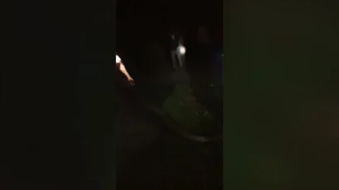 India: Python causes chaos at wedding in central Tikamgarh Video stock 280451507