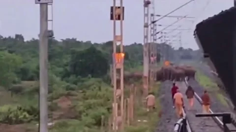 India: Quick actions by forest staff, train crew prevent major accident invo... Stock Footage 289243306
