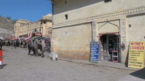 India Rajasthan Amber elephant with driver walks past wall and sign  Stock Footage 24632880