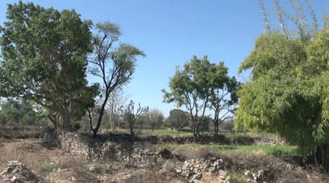 India Rajasthan Deogarh stone wall dividing crop fields  Stock Footage 24451407