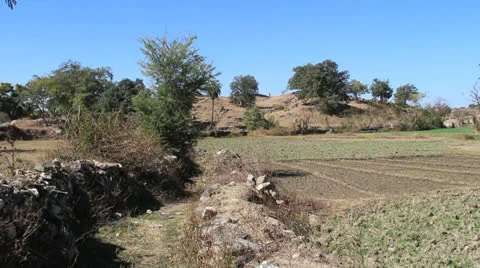 India Rajasthan fields en route Kumbhalgarh Stock Footage 24374452