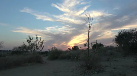 India Rajasthan Thar desert sunset glowing cloud behind oval bush 3 Stock Footage 24592549