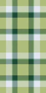 India seamless pattern plaid, long check fabric vector. Network background .. Stockillustratie