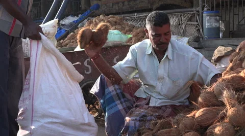 India, selling coconuts at a fruit and vegetable market Stock Footage 48769269
