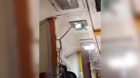 India: Snake found hanging in train's AC coach in western India, passengers... Stock Footage 285373512