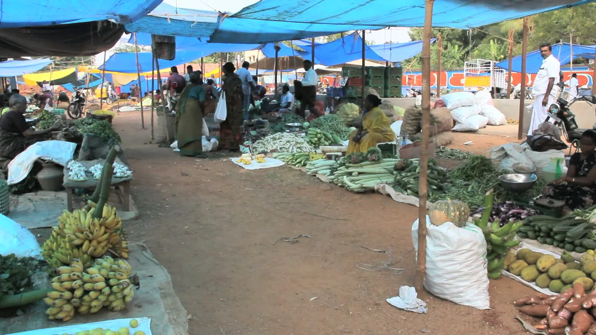 India Tamil Nadu village market scene, Stock Video