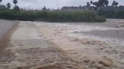 India: Thirumanimutharu river flows in its full capacity after heavy rain... Stock Footage 294618766
