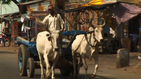 India traffic Stock Footage 1092245