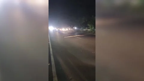 India: Traffic jam erupts as massive python crosses road Stock Footage 288851714