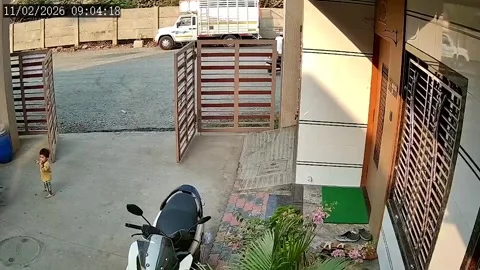 India: Two-year-old girl injured in stray dog attack near housing society... Stock Footage 328706384