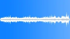 INDIA, VILLAGE Sound Effect