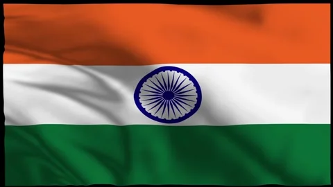 India Waving Flag Animation in Wind Stock Footage 311659190