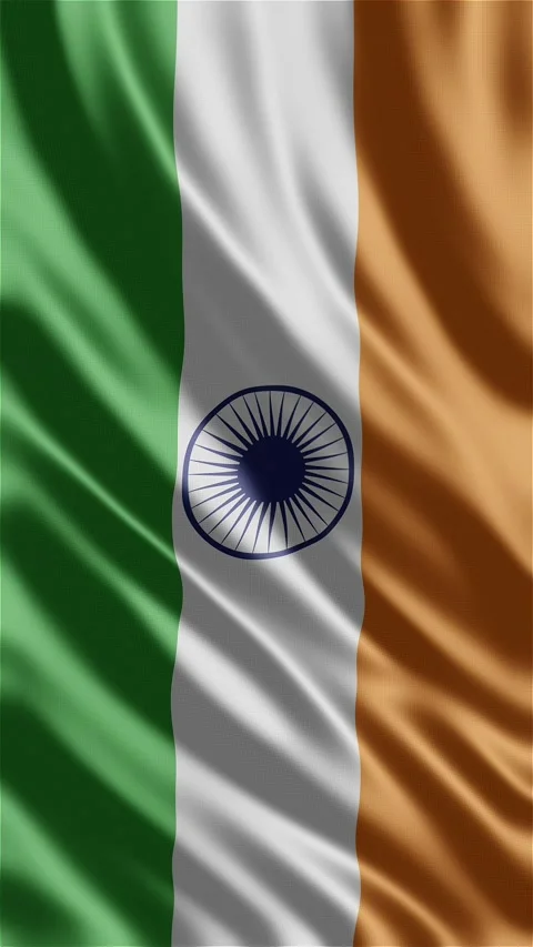 India waving flag Stock Footage 288004336