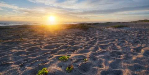 Indialantic Beach Stock Photos