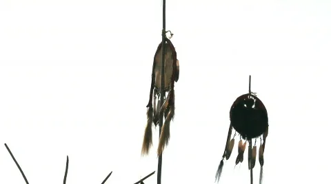 Indian 01 Stock Footage 496114