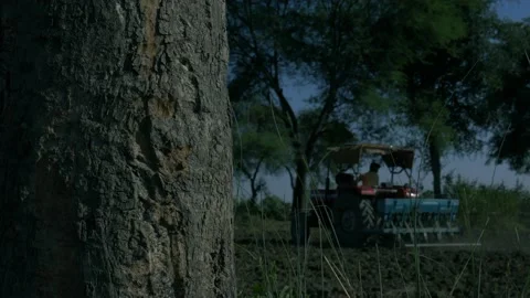 Indian agriculture work background. Stock Footage 166620242