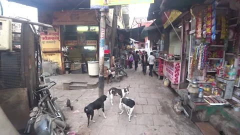 Indian alleys Stock Footage 157361255