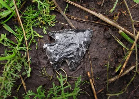 Indian arrowhead lying on ground Stock Photos