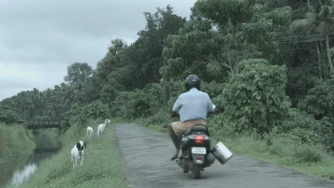 Indian biker on a canal side Video stock 200995757
