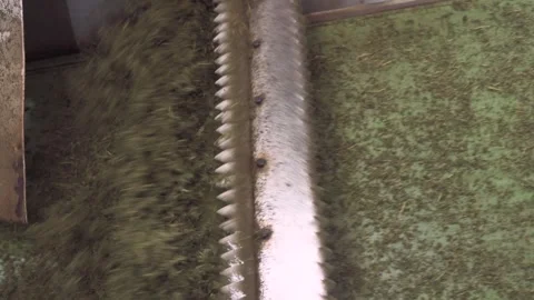 Indian black tea factory production process close up of automate machine Stock Footage 242519975
