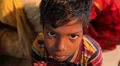 Indian Boy Close Up HD Footage