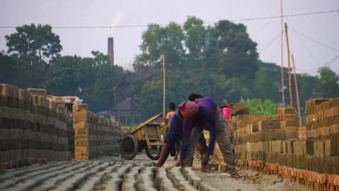 Indian brick field workers stacking raw bricks in repetition together in Stock Footage 345667323