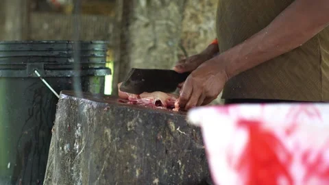 Indian Butcher Cutting Fresh Mutton Meat on Traditional Wooden Log. Stock Footage 342701828