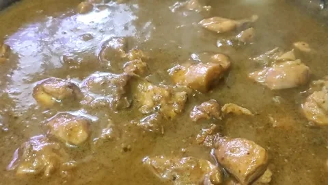 Indian Chicken Curry 1 Stock Footage 301444257