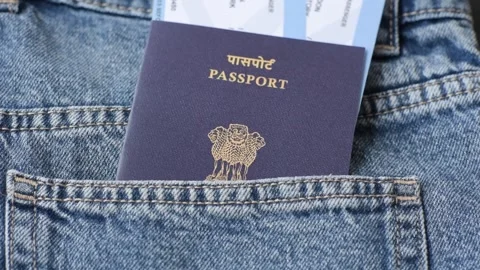 Indian citizen passport, visa document for travel, immigration or tourism. India Stock Footage 319826051