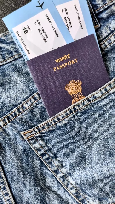Indian citizen passport, visa document for travel, immigration or tourism. India Stock Footage 319826123