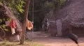 Indian clay houses HD Footage