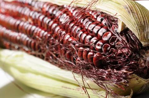 Indian corn Stock Photos