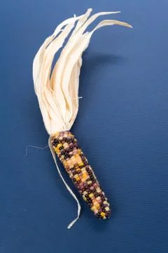 Indian corn Stock Photos