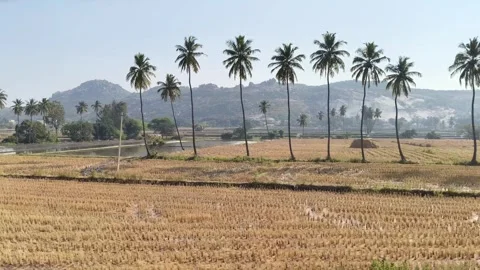 Indian Countryside Viewed from Moving Train Window Stock Footage 323903020