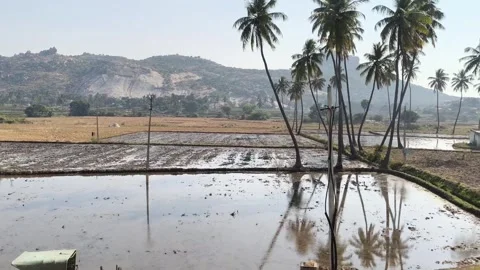 Indian Countryside Viewed from Train Window Stock Footage 323868555