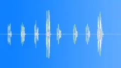 Indian CuckooSound Effect
