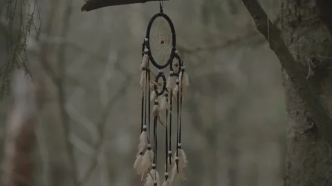Indian dream Keeper in the forest Video stock 100783989