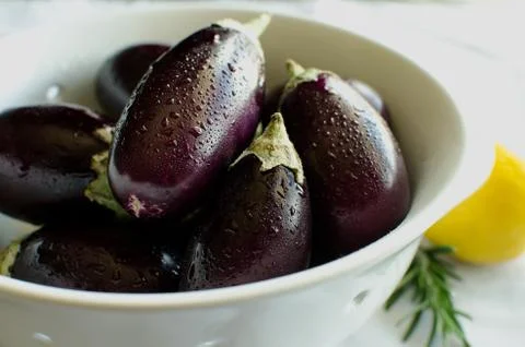 Indian eggplant Stock Photos