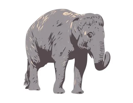 Indian Elephant Side View Isolated Background WPA Art. Stock Illustration