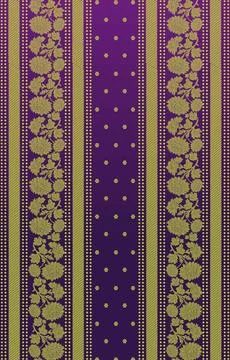 Indian ethnic sari design which is originated in india Stock Illustration