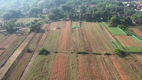 Indian Farm Fields 库存影片 234706950